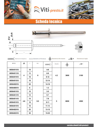 1 x RIVAVEU Tutto Acciaio Inox A4 Testa tonda...