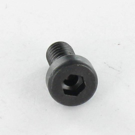 1 x Vite Per Metalli A Esagono Incassato BASSO/BUCO Chiave Esagonale Da 4 M5X8 Classe 8.8 Acciaio Grezzo