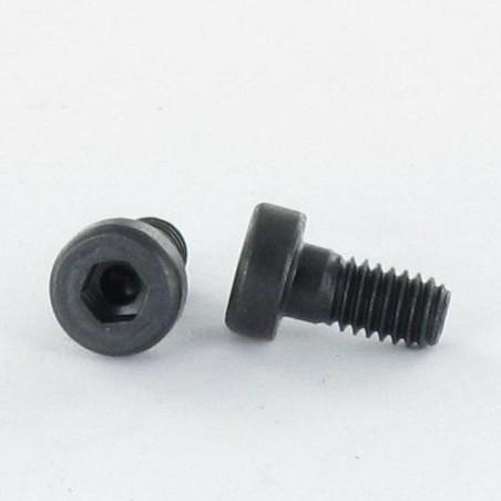 1 x Vite Per Metalli A Esagono Incassato BASSO/BUCO Chiave Esagonale Da 5 M6X20 Classe 8.8 Acciaio Grezzo