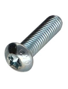 Vite Per Metalli Testa Bombata T25 M5X30 Classe 10.9 Zincate