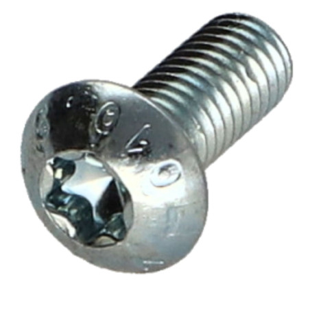 1 x Vite Per Metalli Testa Bombata T20 M4X10 Classe 10.9 Zincate