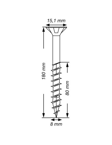 1 x Spax T-STAR DI PIÙ Testa Forata T40 Acciaio...
