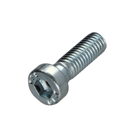 1 x Vite Per Metalli A Esagono Incassato BASSO/BUCO Chiave Esagonale Da 5 M6X20 Classe 8.8 Zincate