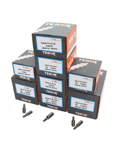TEKOR PACCHETTO PRO 1800 Vite Testa Forata Dentellato...