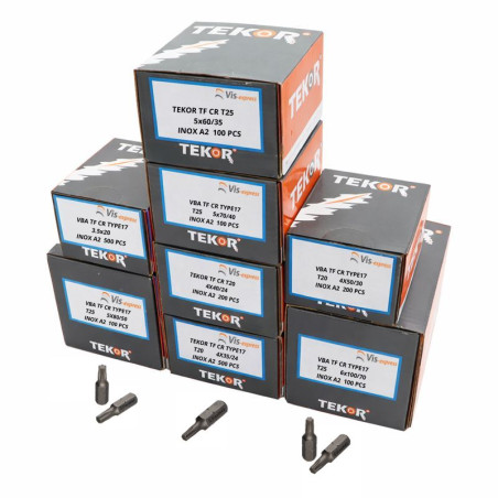 1 x TEKOR PACCHETTO PRO 1800 Vite Testa Forata Dentellato Torx Acciaio Inox A2