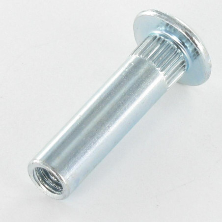 1 x Dado Manicotto Pozy Con Intaglio 8X31 M6X15 Zincate