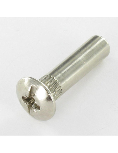 1 x Dado Manicotto Pozy Con Intaglio 8X31 M6X15...