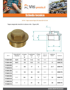 Spina maschio Figura 290 80x90 (3") Testa Quadrata Ottone 2