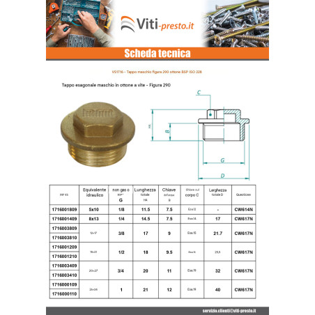 1 x Spina maschio Figura 290 12x17 (3/8') Ottone Cromato