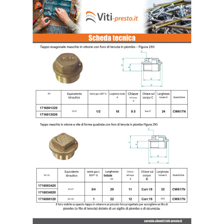 1 x Spina maschio Figura 290 12x17 (3/8') Ottone Cromato