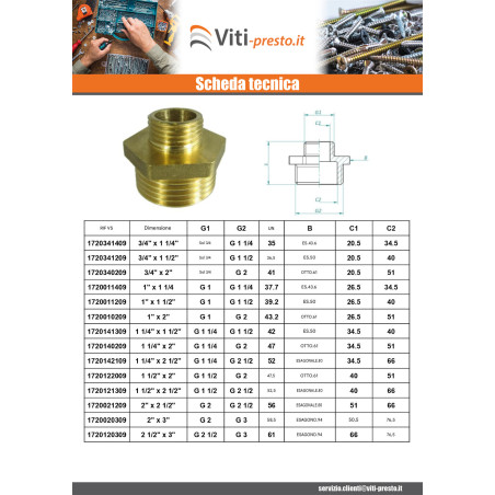 1 x Figura del capezzolo ridotto 245 Maschio / Maschio 66x76 (2"1/2) X 80x90 (3") Ottone