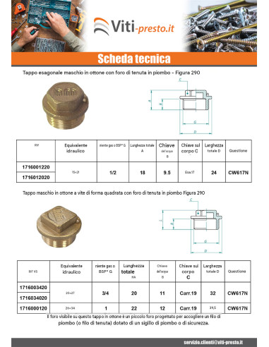 1 x Spina maschio Figura 290 26x34 (1") Ottone...
