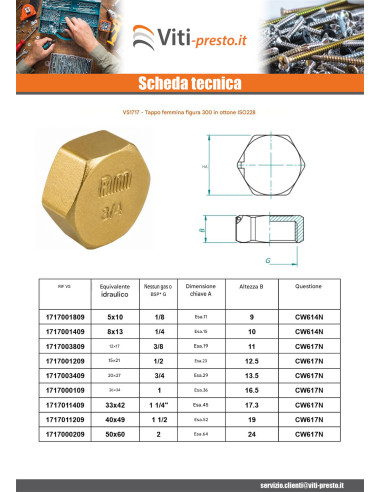 1 x Spina femmina Figura 300 50x60 (2") Ottone