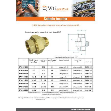 1 x Raccordo dritto 20x27 (3/4") Maschio/Femmina Ottone Figura 341