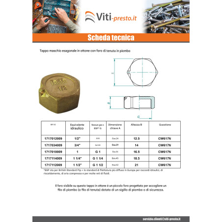 1 x Spina femmina Figura 300 40x49 (1"1/2) Ottone