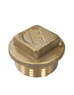 Spina maschio Figura 290 50x60 (2") Testa Quadrata Ottone