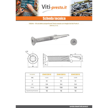 1 x Vite Autoperforante Bimetallo Testa Forata T25 Punta lungo 5,5X60