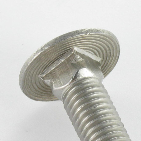 1 x Testa Poelier Con Colletto Quadrato Acciaio Inox A2 M6X60 Filettatura Parziale