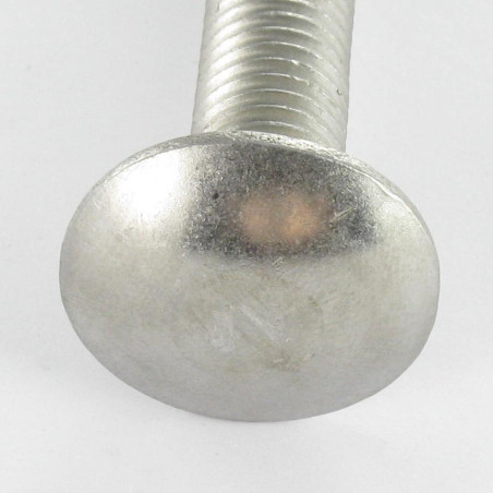 1 x Testa Poelier Con Colletto Quadrato Acciaio Inox A2 M6X55 Filettatura Parziale