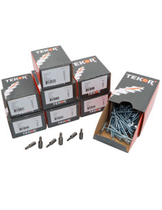 TEKOR PACCHETTO PRO 1200 Vite Testa Forata Dentellato...