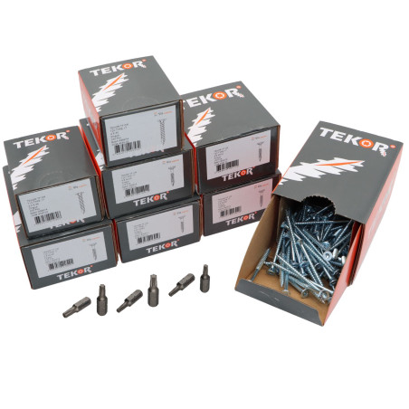 1 x TEKOR PACCHETTO PRO 1200 Vite Testa Forata Dentellato Torx Zincate