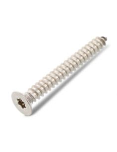 Vite Per Lamiera Testa Forata 5,5 x 22 T25 Acciaio Inox A4