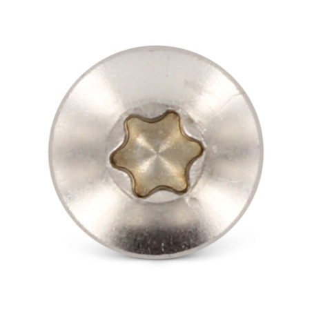 1 x Vite Per Lamiera Testa Cilindrica Bombata 5,5X32 T25 Acciaio Inox A4
