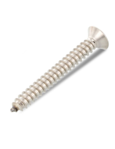 1 x Vite Per Lamiera Testa Forata 2,2 x 25 T6...