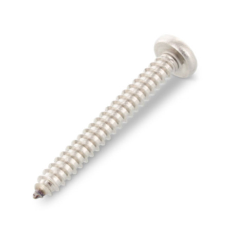 1 x Vite Per Lamiera Testa Cilindrica Bombata 3,9 x 6,5 T15 Acciaio Inox A4