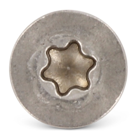 1 x Vite Per Lamiera Testa Forata 5,5X100 T25 Acciaio Inox A4