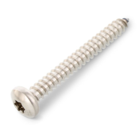 1 x Vite Per Lamiera Testa Cilindrica Bombata 6,3X90 T30 Acciaio Inox A4