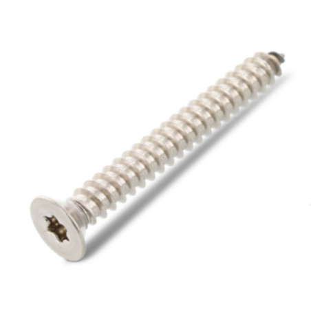 1 x Vite Per Lamiera Testa Forata 4,8 x 55 T25 Acciaio Inox A4