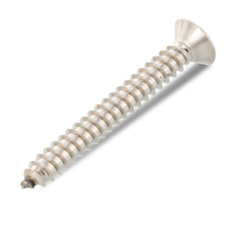 1 x Vite Per Lamiera Testa Forata 4,8 x 55 T25 Acciaio Inox A4