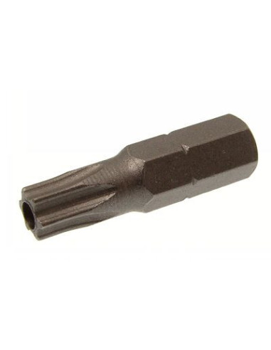 1 x Punta Di Sicurezza T40