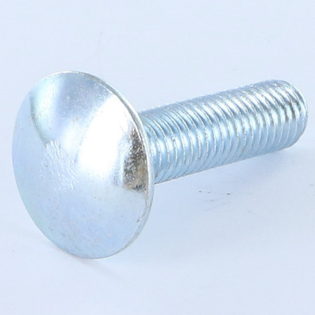 1 x Testa Poelier Con Colletto Quadrato M10X20 Discussione completa Zincate