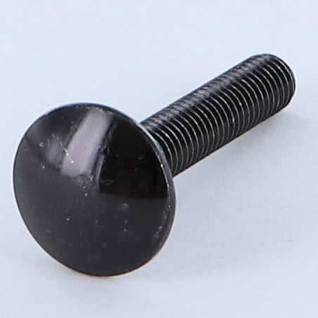 1 x Testa Poelier Con Colletto Quadrato M7X45 Passo 100 Discussione completa Acciaio Zincato Nero