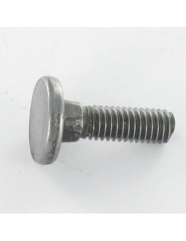 1 x Vite Testa Piatta Colletto Quadrato M8X25...