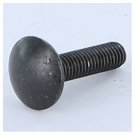 1 x Testa Poelier Con Colletto Quadrato M8X20 Discussione completa Acciaio Zincato Nero