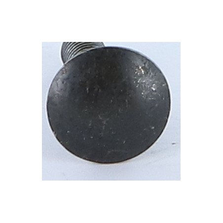 1 x Testa Poelier Con Colletto Quadrato M5X20 Discussione completa Acciaio Zincato Nero
