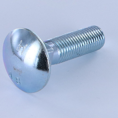 1 x Testa Poelier Con Colletto Quadrato M16X60 Discussione completa Zincate