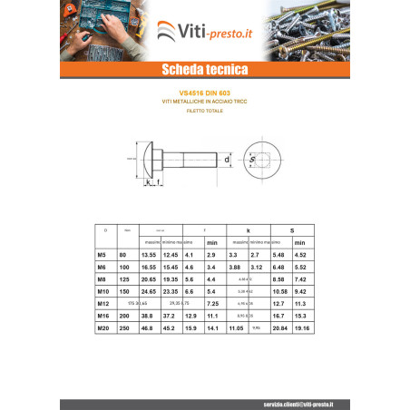 1 x Testa Poelier Con Colletto Quadrato M10X100 Discussione completa Zincate