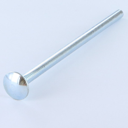 1 x Testa Poelier Con Colletto Quadrato M6X100 Discussione completa Zincate