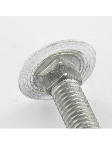 1 x Testa Poelier Con Colletto Quadrato M7X65...