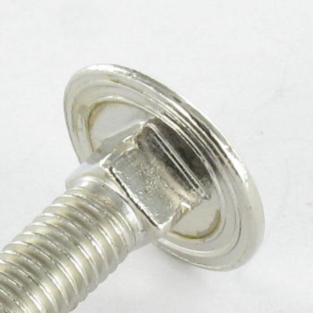 1 x Testa Poelier Con Colletto Quadrato M5X25 Discussione completa Acciaio Nichel