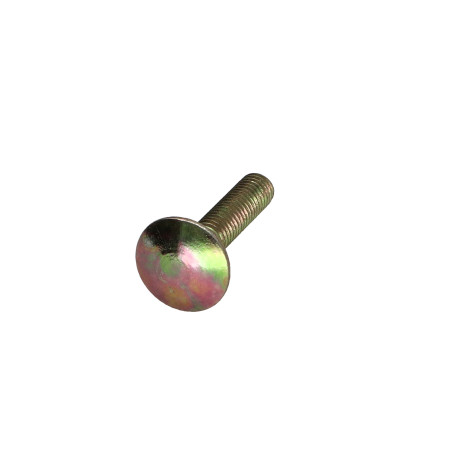 1 x Testa Poelier Con Colletto Quadrato M5X22 Discussione completa COLCAR 6 Bicromato
