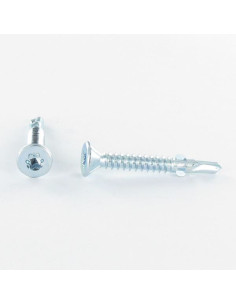 Vite Autoperforante Testa Forata T30 5,5X38 Dentellata E...