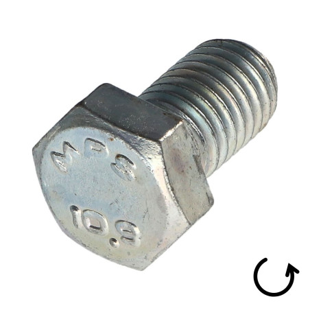 1 x Vite Per Metalli Testa Esagonale Passo Sinistro M6X10 Classe 10.9 acciaio geometico