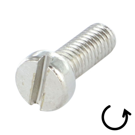 1 x Vite Per Metalli Testa Cilindrica Bombata Con Intaglio M10X70 P. GAUCHE Acciaio Nichel