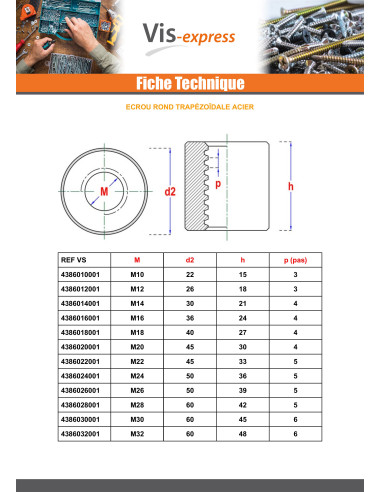 1 x Dado Tondo Testa Poelier 28X5 Trapezoidale...