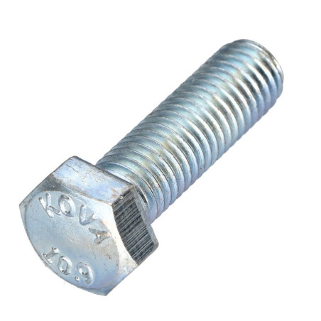 1 x Vite Per Metalli Testa Esagonale Passo Sinistro M12X30 Classe 10.9 acciaio geometico
